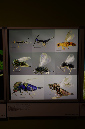 Wasp_exhibition__DSC3518